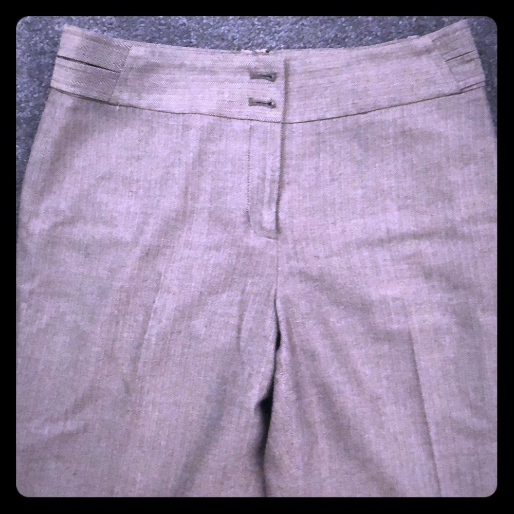 HerringBone Beautiful Ann Taylor Slacks - Size 4